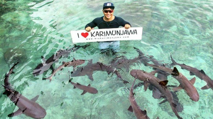 15056685 1817758641798608 6339496334487191552 n