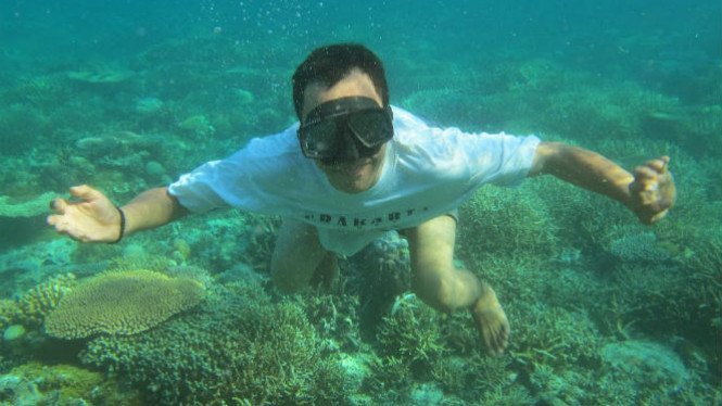 264338 snorkeling di perairan gusung 665 374