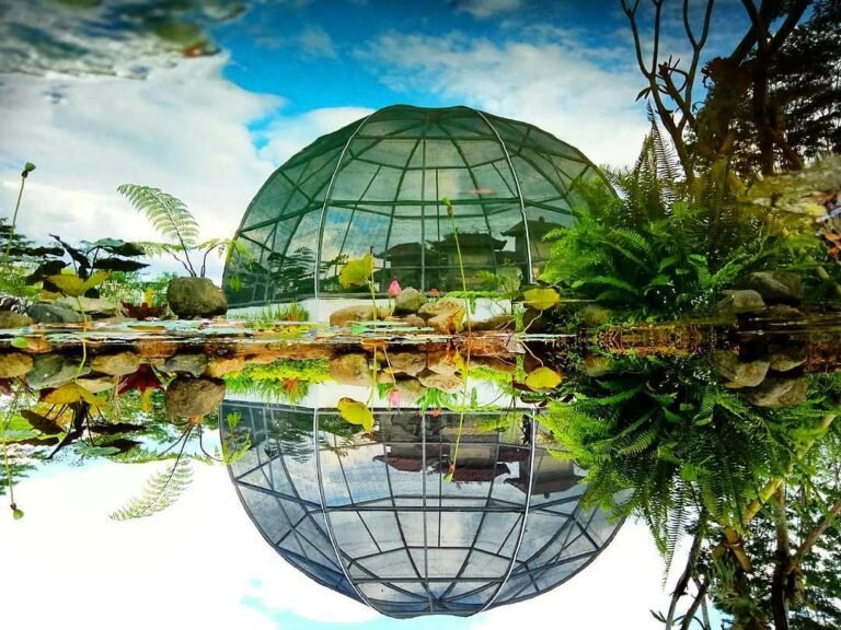 28753302 2099288350087738 1828877377640333312 n 768x576