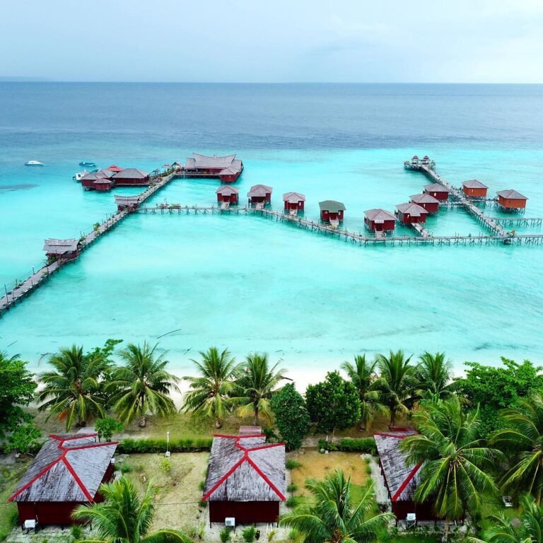 29417503 628570294149565 7790058170763706368 n 768x768