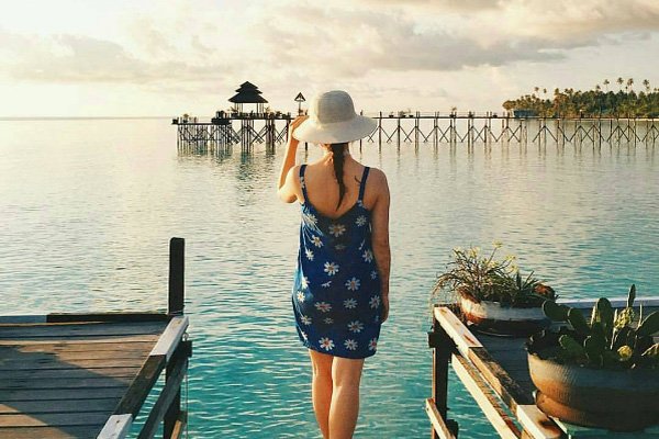 31103764050 806df6d841 o