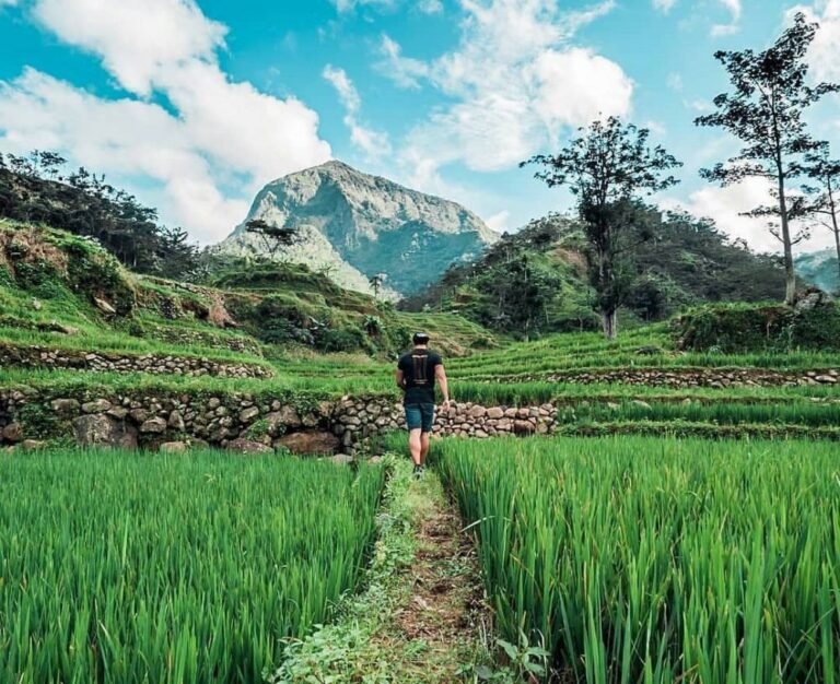 37373855 2160848453943059 5029562778432569344 n f89c6f50c8a1830c604278131518ed1c 768x626