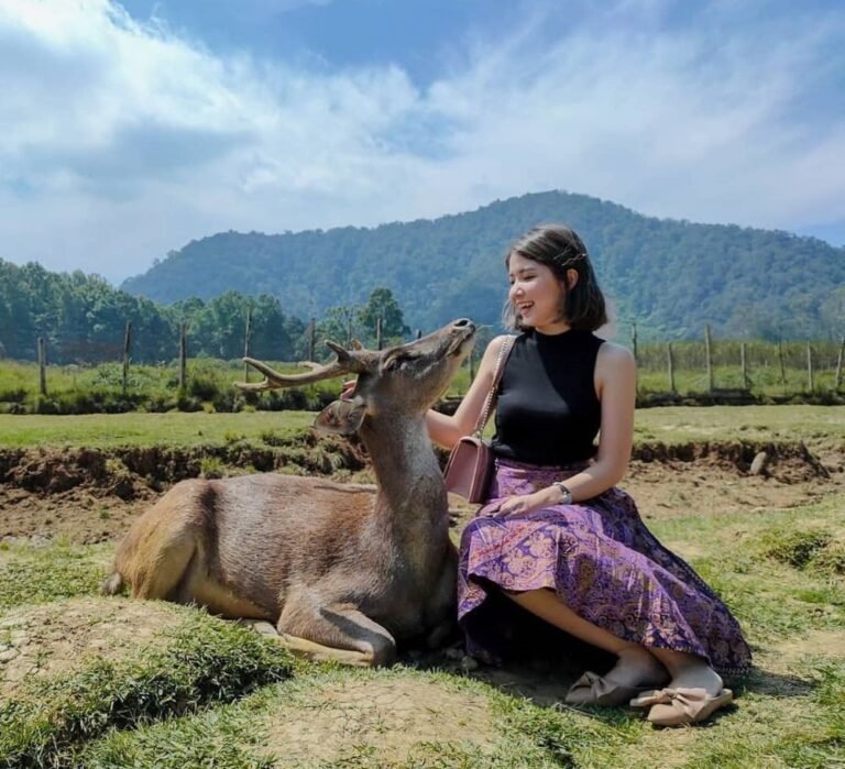 64555491 155740508934885 3903657027618550230 n 127e3c1ea55bf6a0c2d74297b35e8c40 768x699