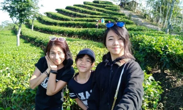 @aureliatinsky 630x380 1