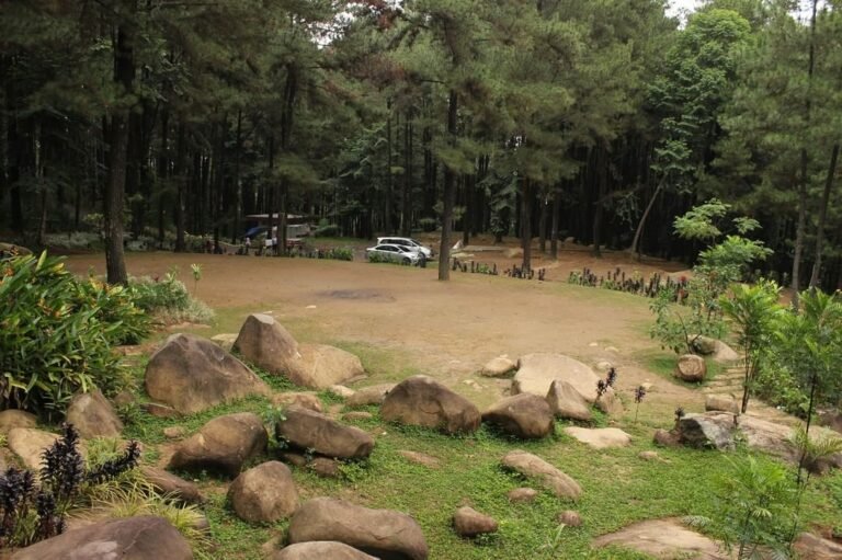 Alt Text Gunung Pancar Sentul Taman Wisata Alam Selangkah dari Ibukota 768x511
