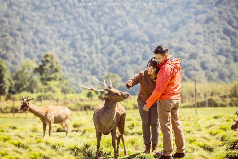 BALAI KONSERVASI RUSA RANCA UPAS CIWIDEY SeputarNikah 768x513