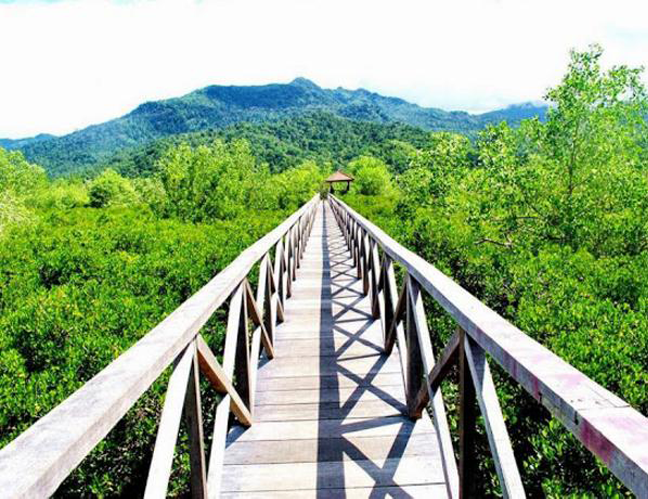 Hutan Mangrove Gunung Anyar