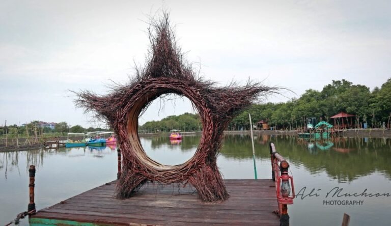 IMG 0006 6 930x538 1 768x444