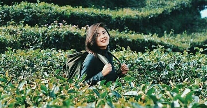 Kebun Teh Nglinggo 1