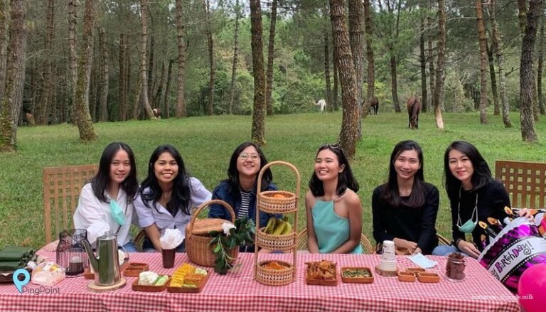 Piknik Sambil ditemani Kuda Kuda Hanya di Jung.width 800 qgoNUvz 768x439
