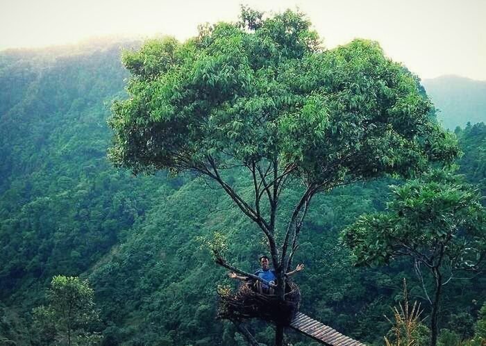 bukit bejagan 49a907971dbcf55c7e6f8b32c0b0c744