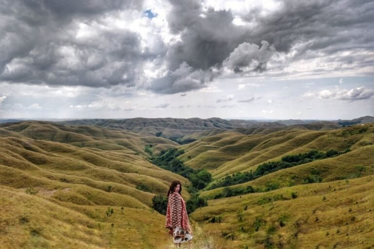 ceccdac92fffe2ed9f8ed87b0d7e1a6b 768x511