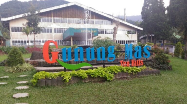 gunung mas te hills 768x430