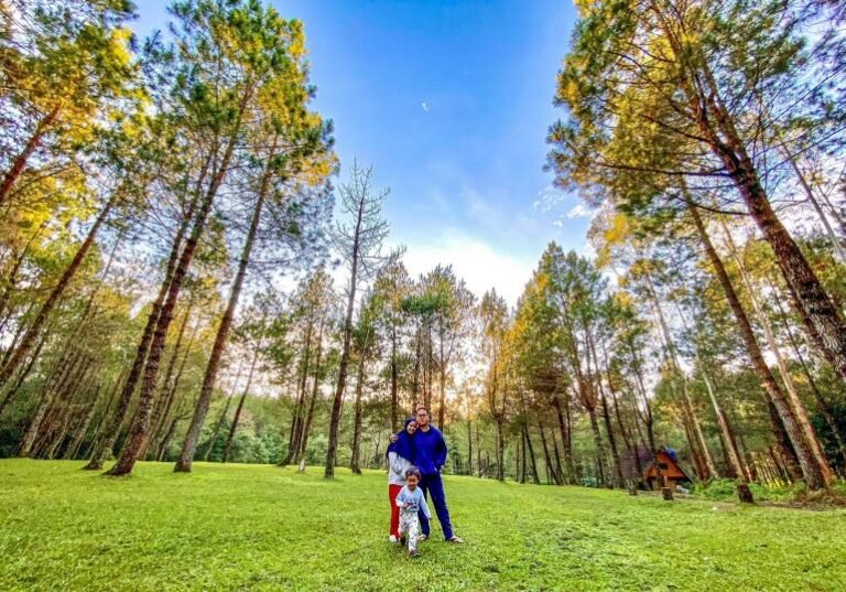 img 4483 jpg jpg 604705cd8ede483e543fd7c2 768x537