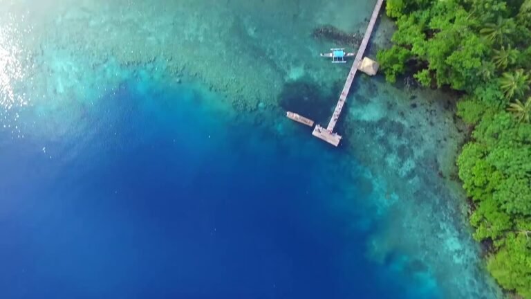 maxresdefault 1 768x432