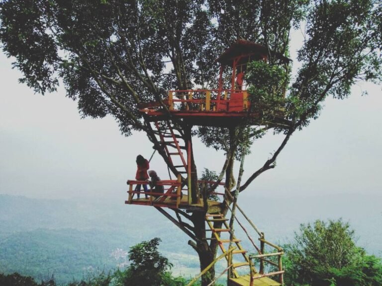 omolqbo2fnu5kwopekmj 768x576