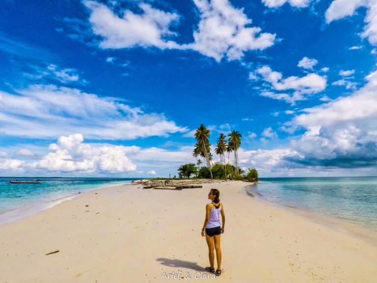 pheWFuEs 1595845643 768x576