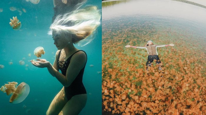 pulau kakaban 20181019 135318