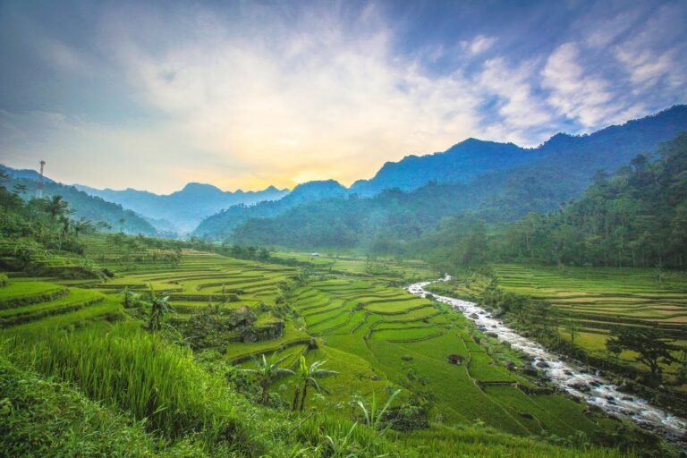 simapix Tempur 768x512