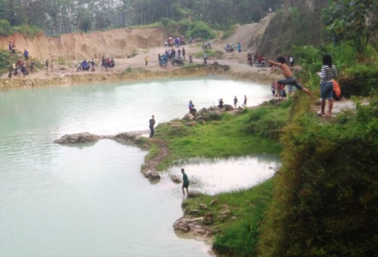 wEB 1200x815 1 768x522