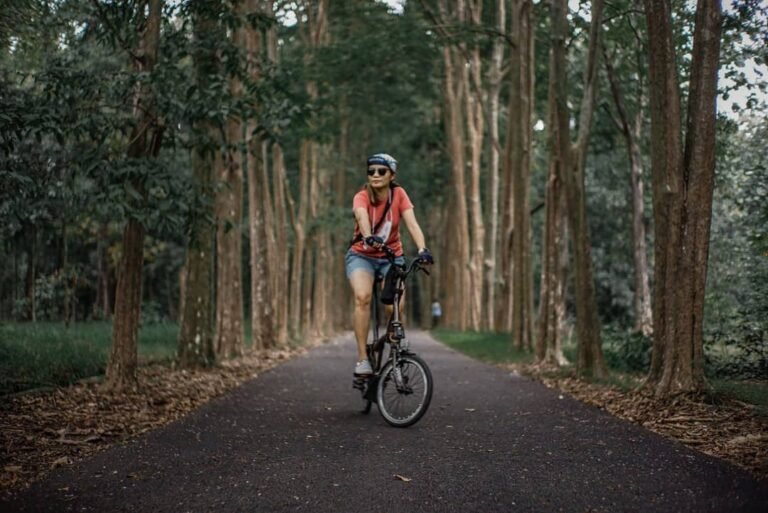 @prythapramesthi 768x513