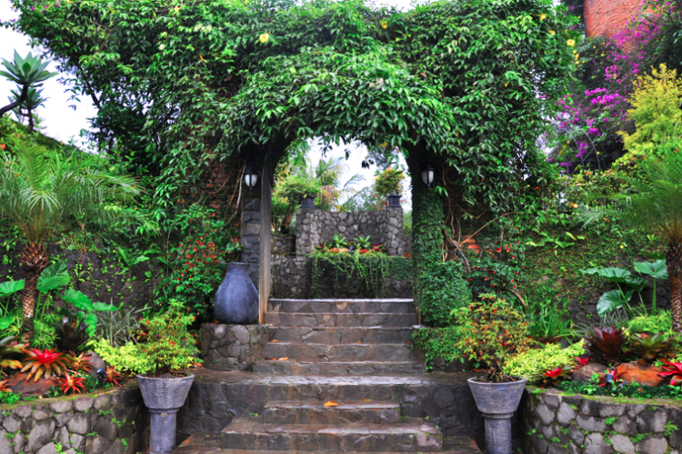 10 Tempat Nongkrong di Bogor, Ada Kafe dengan Pemandangan Gunung Salak