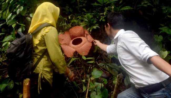 8 Rekomendasi Wisata Bengkulu, Berkunjung ke Danau Dendam Tak Sudah