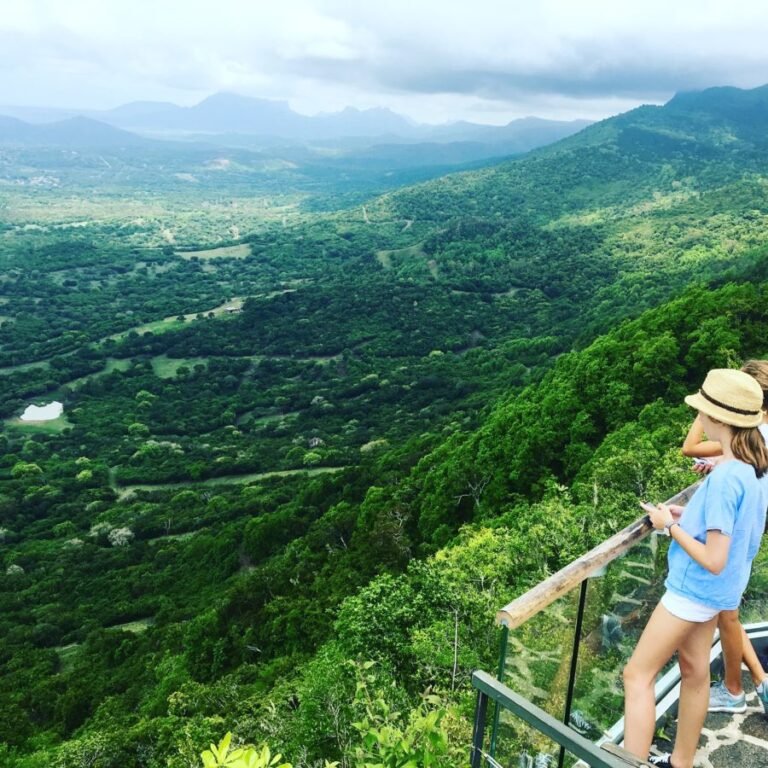 IMG 4254 e1566983013660 768x768