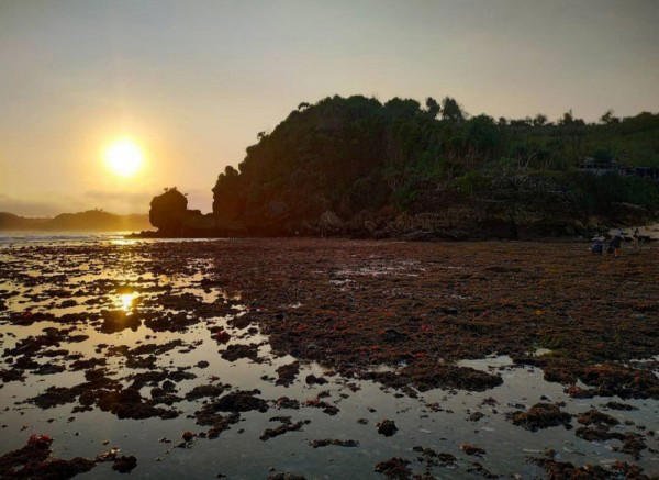Wisata Pantai Pangi Blitar5