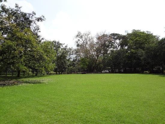 taman kebun raya purwodadi