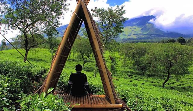 foto bukit kuneer lawang malang jawa timur