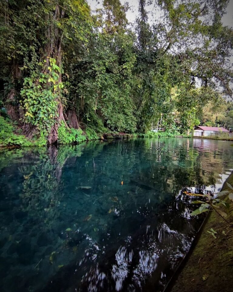 1115568351 95deb799c8be8bbd7a8b6e802b2f5820 6c96466416cb50ae7931b097b52a3dfa 768x960