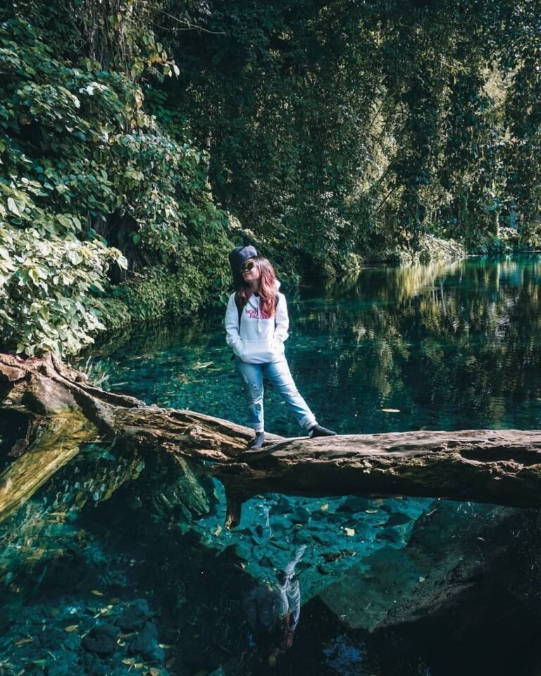 1935070244 95deb799c8be8bbd7a8b6e802b2f5820 e5b15fca52f736d37c78a5f6cddc60bb 768x960