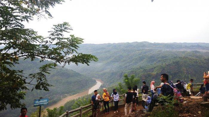 3 Lokasi Wisata Kebun Buah di Jogjakarta, Boleh Dipetik Sendiri lho