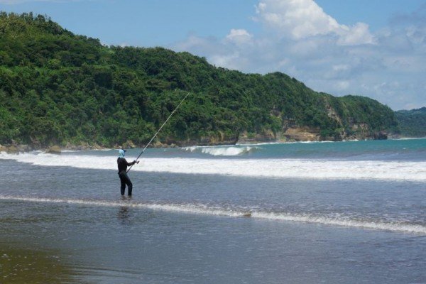 beautiful sine 680dd424dd0759bd87d5e6b39c72e84c 600x400