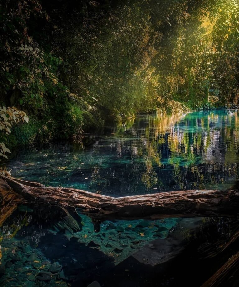 img 20220821 145005 95deb799c8be8bbd7a8b6e802b2f5820 3bc577fad38e4c25005e619727589625 768x924