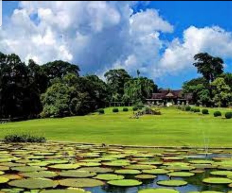 20201203 204101 768x640