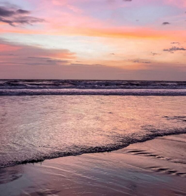 20220725 165509 329ae2b286ff7799fbbec7d4597d307a c30c603516f83721593f7c57ab67c3cc 768x811