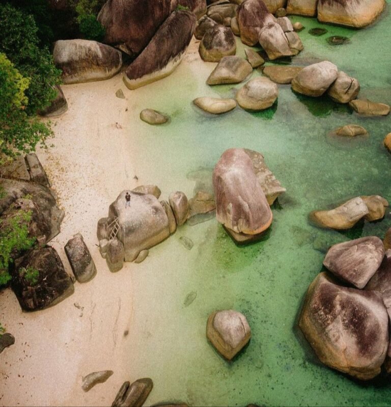 20220725 235134 329ae2b286ff7799fbbec7d4597d307a 5fbc5c400858cf71b1364d15b9d6e303 768x799