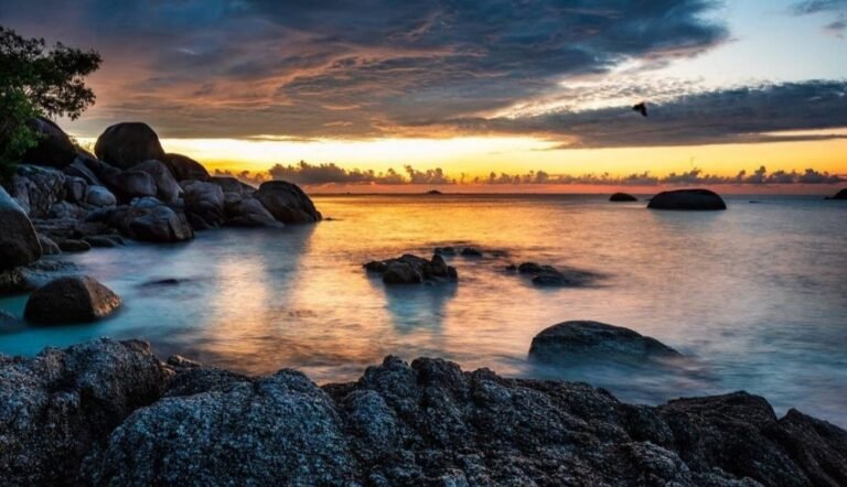 20220725 235306 329ae2b286ff7799fbbec7d4597d307a 7303fc141dfa3159da615667d5adac15 768x442