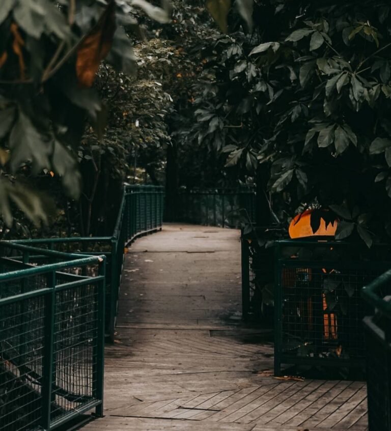 20220821 234315 329ae2b286ff7799fbbec7d4597d307a 9067e288c63bc2fa2ac2973e990c28c4 768x847