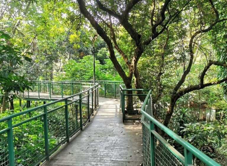 20220821 234448 329ae2b286ff7799fbbec7d4597d307a 186855a93f1c641a16494ed4087b84b0 768x562