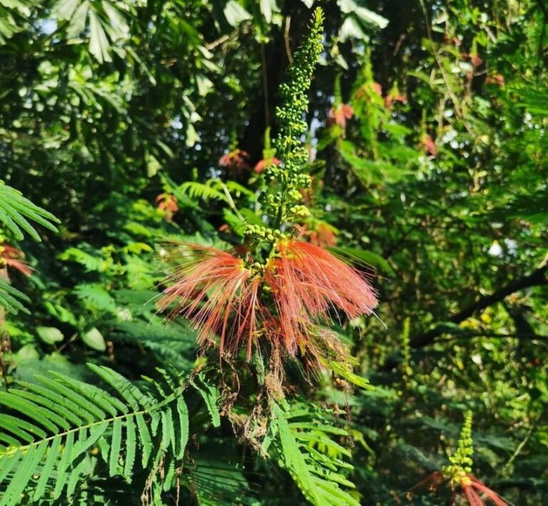 20220821 234504 329ae2b286ff7799fbbec7d4597d307a 103a4d4baa2dc937e2291adef46ca3b3 768x710