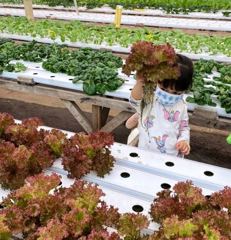 262756437 3014969752939asdas00 8757352588701285707 n e5623544d2d9aa3c5b8939d87ebd7df3 a8efea19fbd27587d8efb613f2924c89 768x796