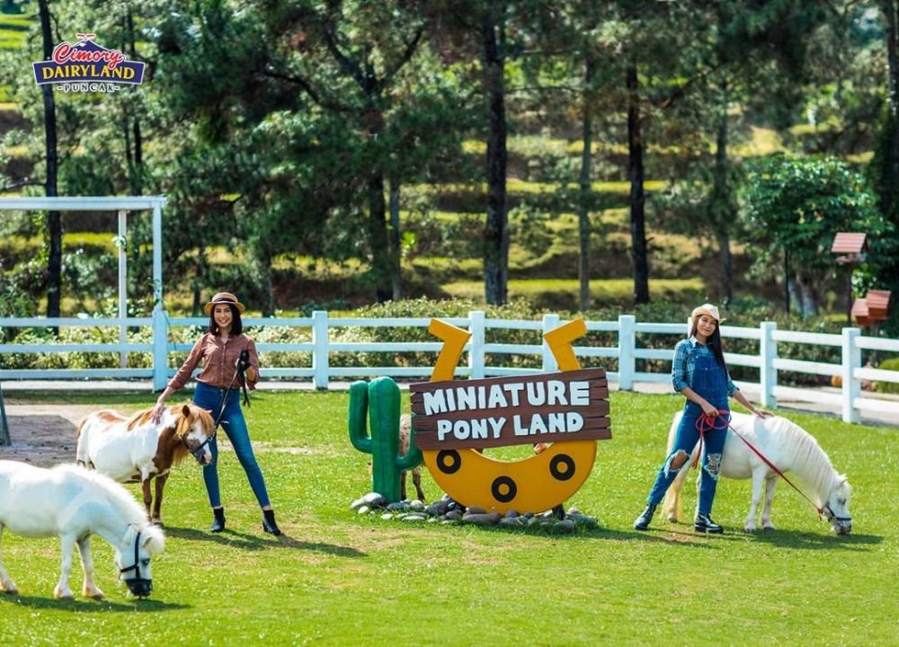5 Lokasi Wisata Serba Hewan di Puncak Bogor, Liburan Makin Seru