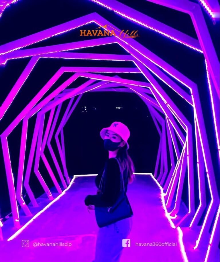 280321912 1945612769109240 5168655874565763242 n cc53b8f41b4f4cb67fa5e0bb81b7c39b 768x916