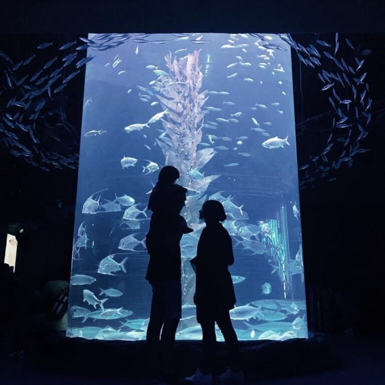 40756576 731430177205135 3651818973317958863 n 72e73790969719de189a5a5bda97366e 768x768