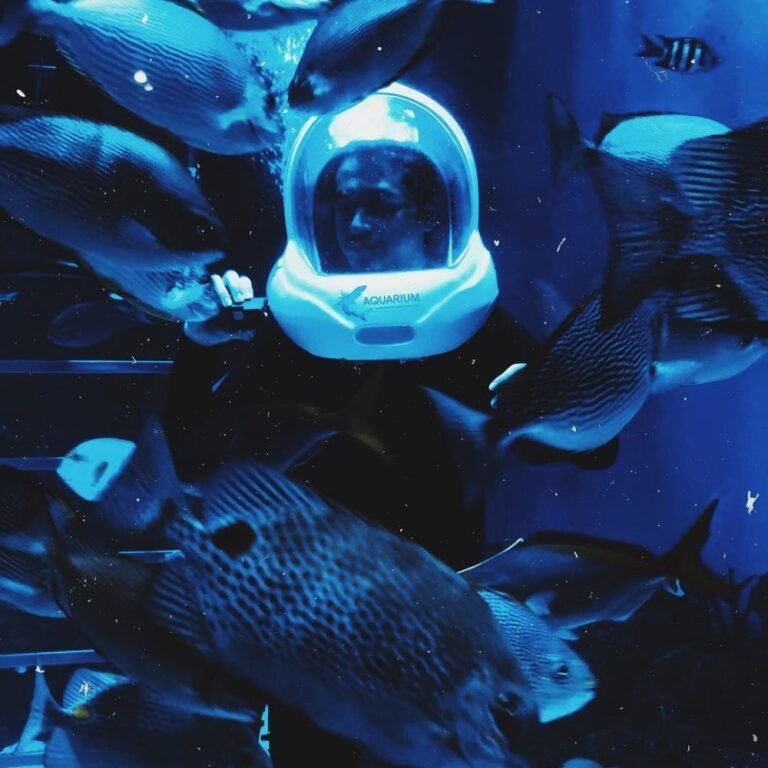 54447201 1060787507439667 7779713948957125163 n 055f1499422258ef87d92641add2b6fd 768x768