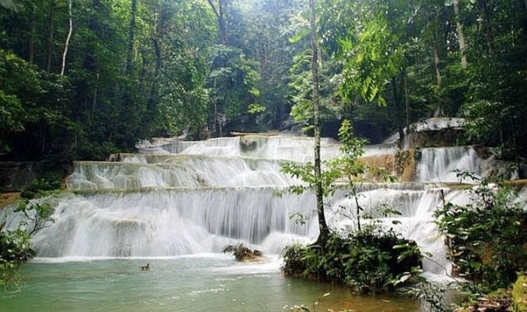 6b2c5968 b609 4a48 b0d7 26a50b1652f4 a571125ee0215dbed2645802715ded0a 701bc7e6a194099c85688e107d9baf0f