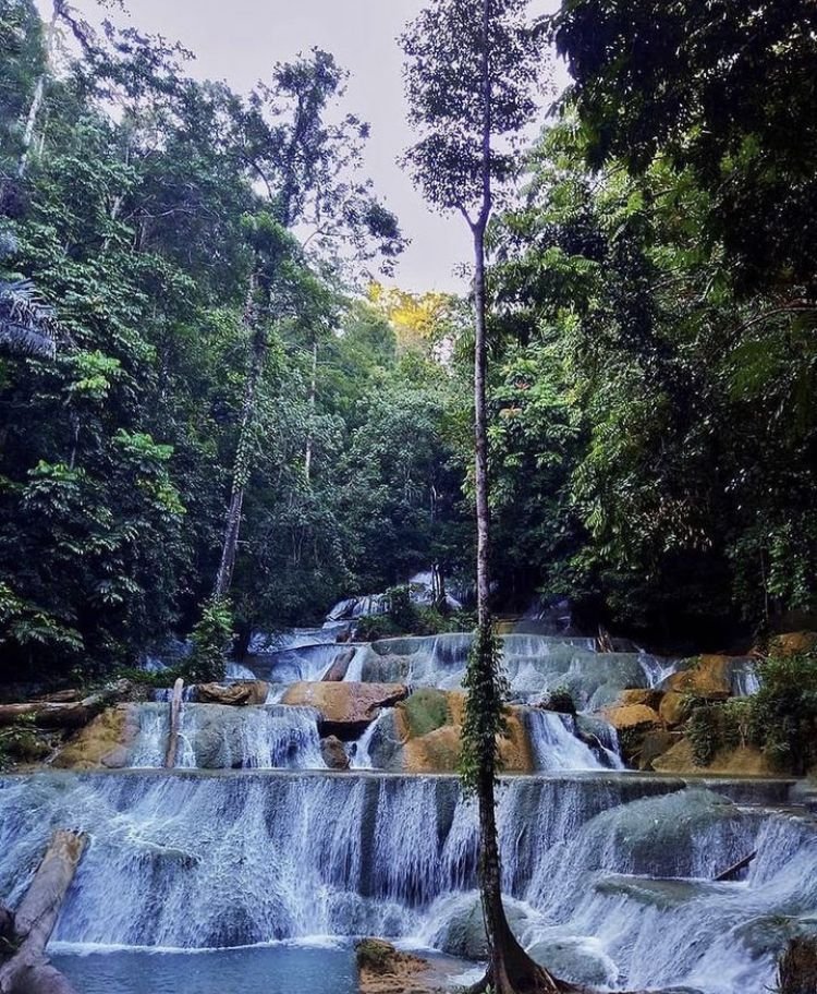 cd82ccdd 9103 4a42 8a5e 19f9c5d52664 a571125ee0215dbed2645802715ded0a a37325cb97c1e884e5efee8e68e83660